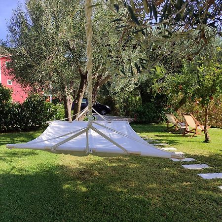 קאטליוס Kykeon Studios מראה חיצוני תמונה