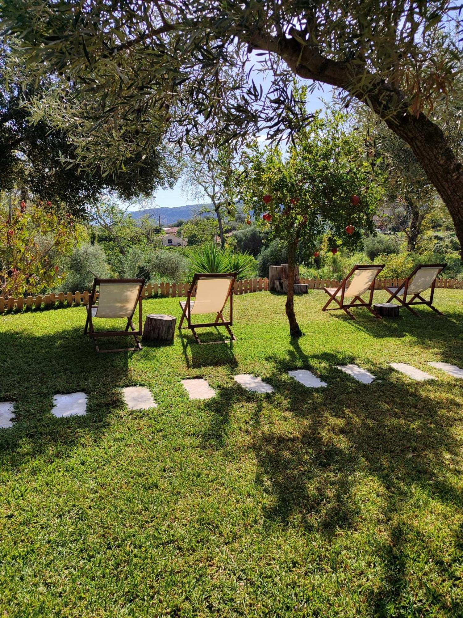 קאטליוס Kykeon Studios מראה חיצוני תמונה