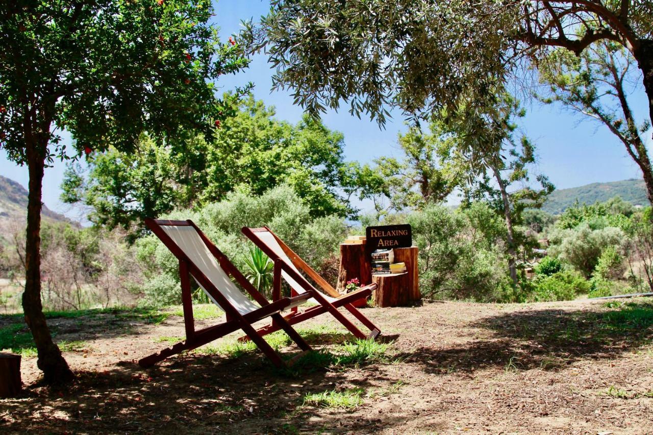 קאטליוס Kykeon Studios מראה חיצוני תמונה