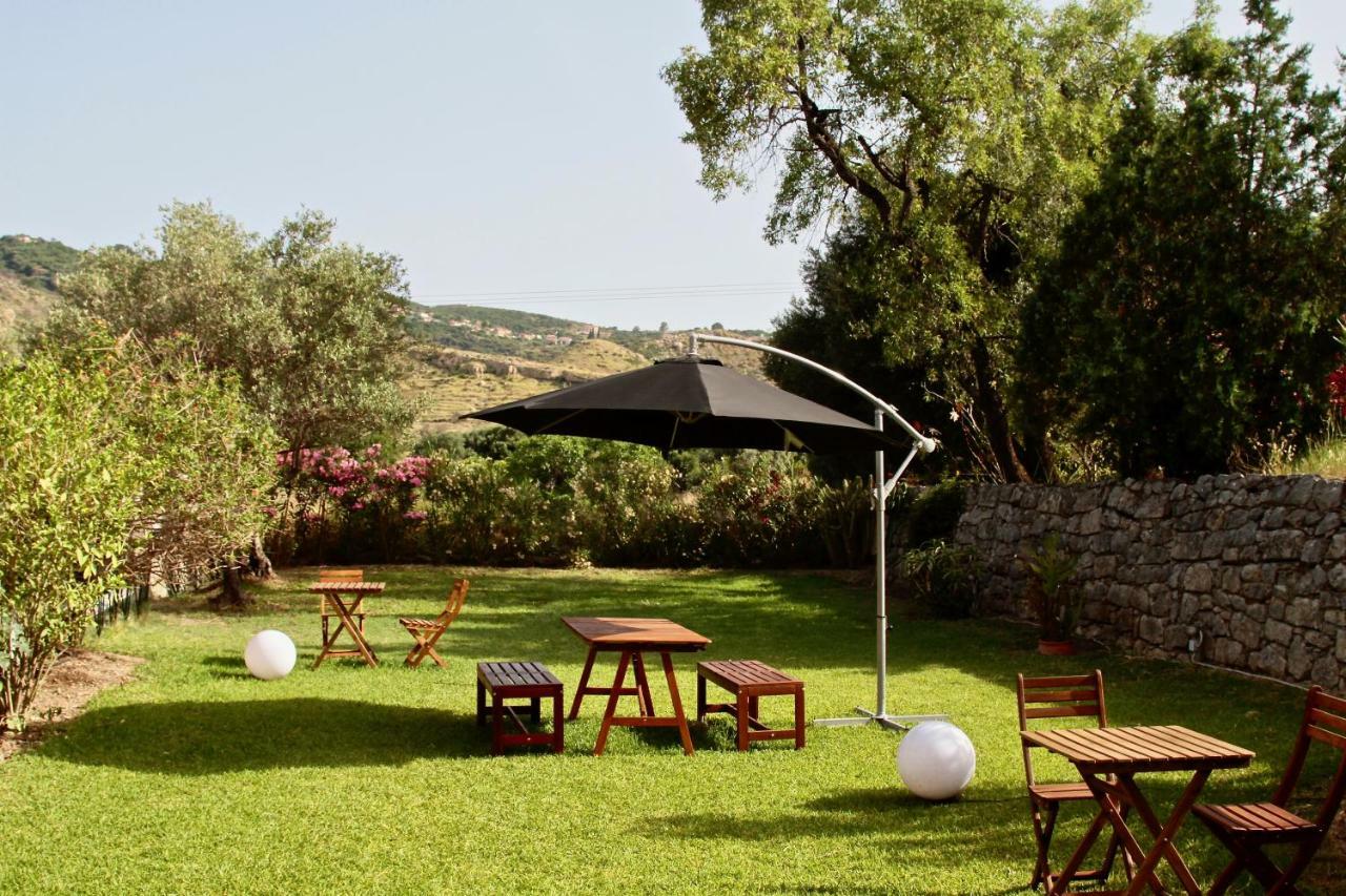 קאטליוס Kykeon Studios מראה חיצוני תמונה